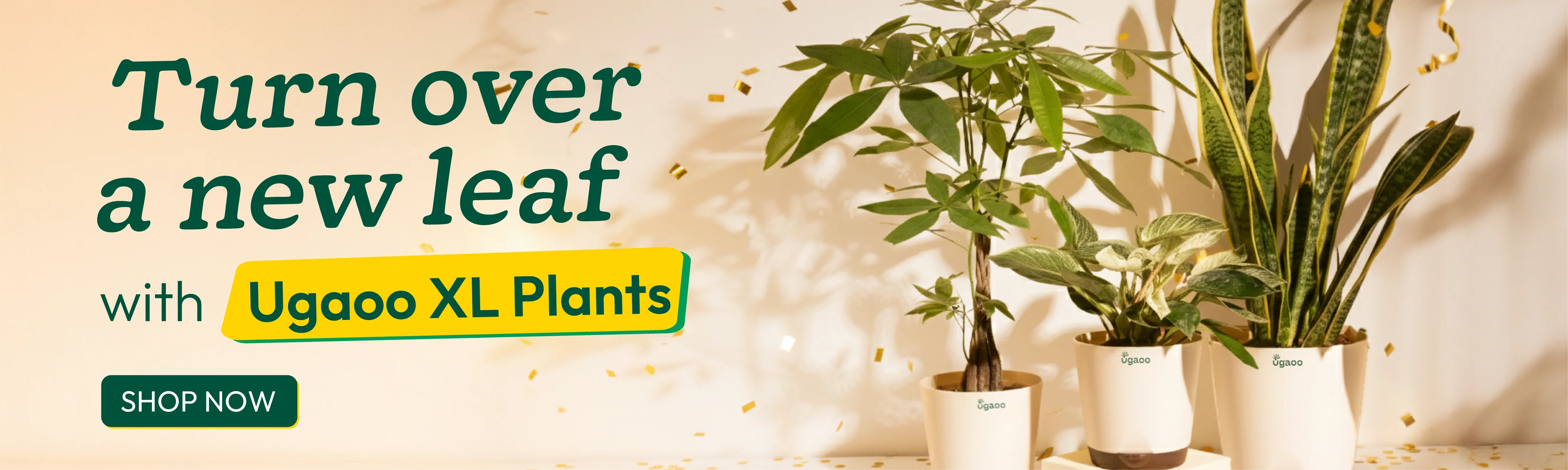 Welcome to Our Store